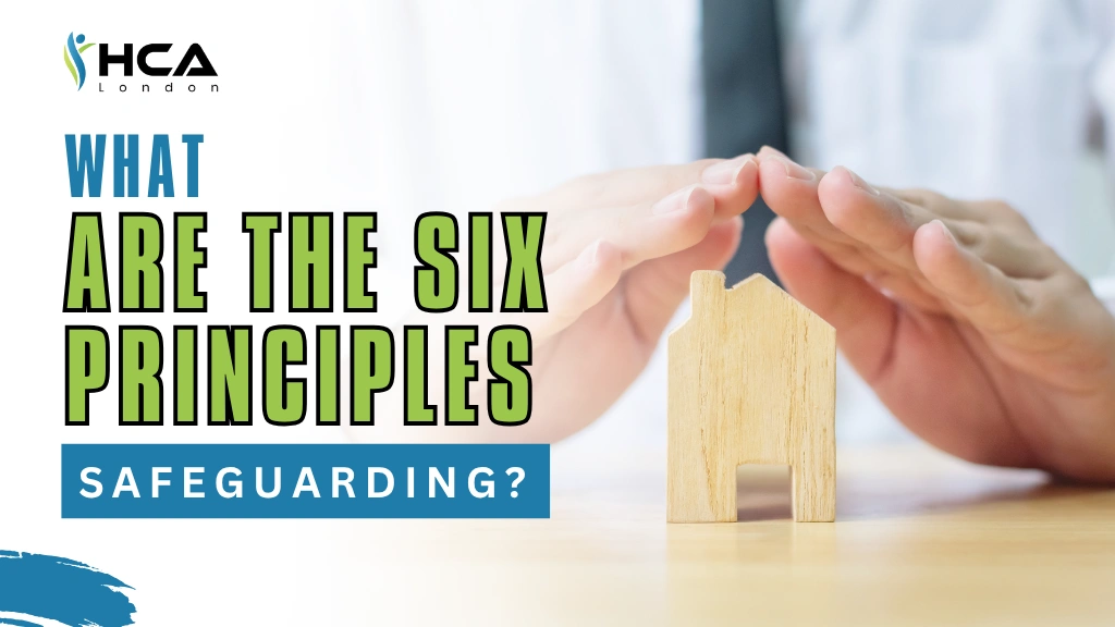 What Are the Six Principles of Safeguarding?